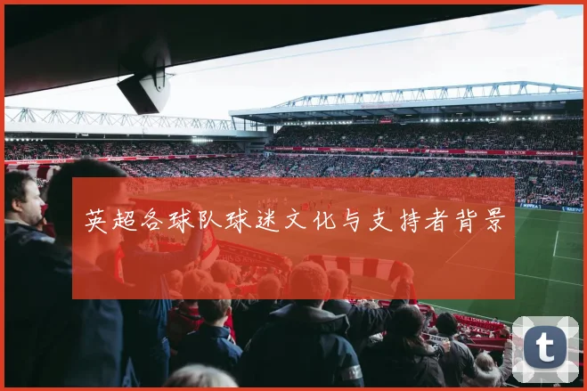 英超各球队球迷文化与支持者背景