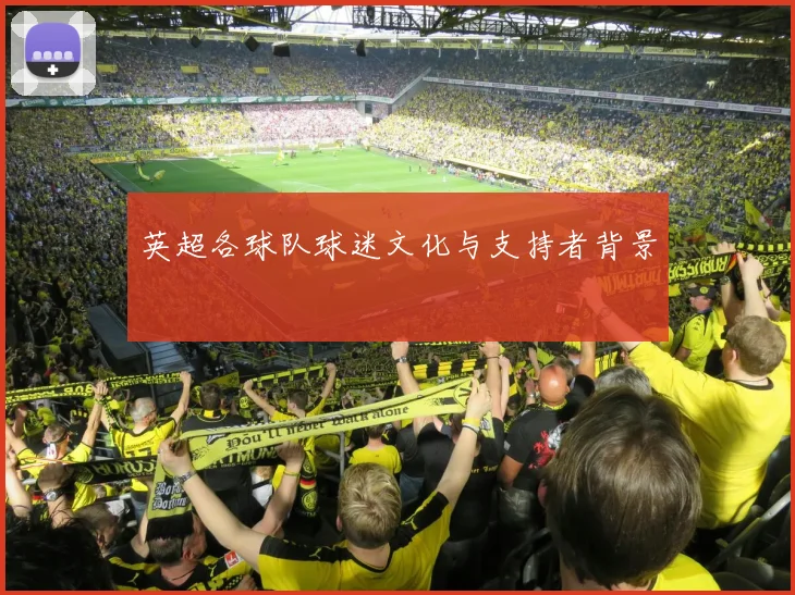 英超各球队球迷文化与支持者背景